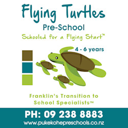 Photo of Flying Turtles Preschool