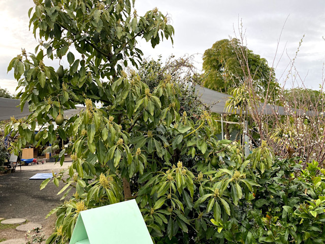 Photo of Milford Kindergarten