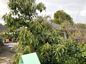 Photo of Milford Kindergarten