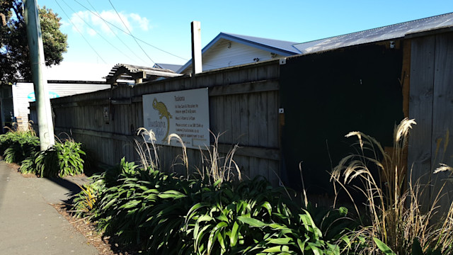 Photo of Tuatara Kids Tuakana