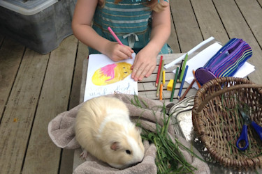 Photo of Glendowie Montessori Preschool