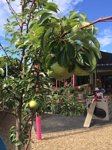 Photo of Nurture Early Learning Centre