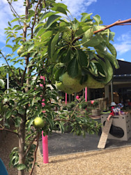 Photo of Nurture Early Learning Centre