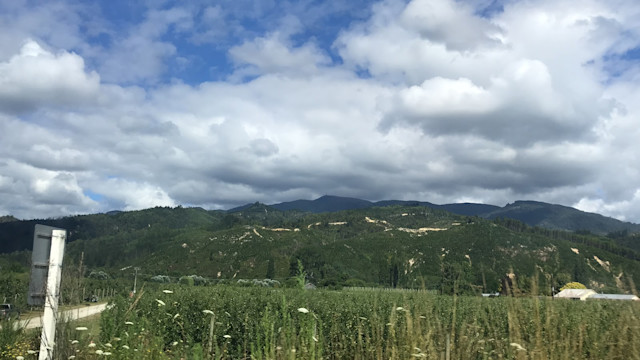 Photo of The Cathedral Grammar School Pre-School