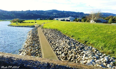 Photo of Moera Kindergarten