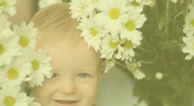 Photo of Daisies Early Education & Care Centre