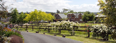 Photo of Pikopiko Learning 