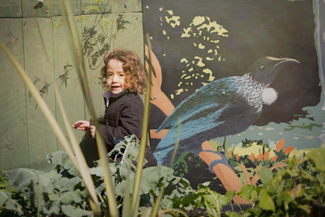 Photo of Educare Pukekohe