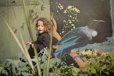 Photo of Educare Pukekohe