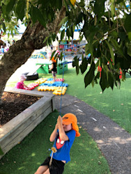 Photo of BestStart Ngatai Road