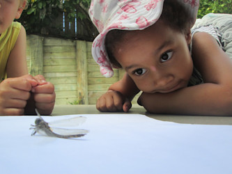 Photo of Lollipops Orewa