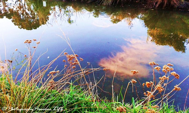 Photo of Gracefield Early Childhood Centre