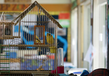 Photo of Kidsfirst Kindergartens Lincoln