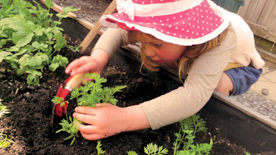 Photo of Bear Park Early Childhood Centre