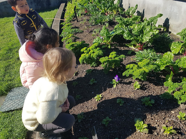 Photo of Conifer Grove Kindergarten