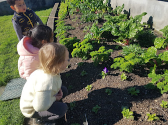 Photo of Conifer Grove Kindergarten