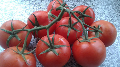 Photo of Caterpillars to Butterflies Childcare