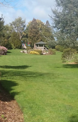 Photo of Nature's Wonder