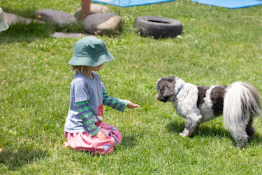 Photo of Crackerjacks Preschool Ltd 