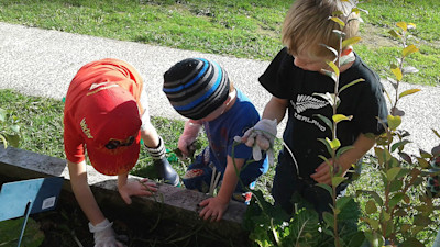 Photo of Lollipops Coatesville
