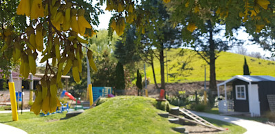 Photo of Puketapu Community Early Childhood Education Centre 