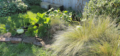 Photo of Te Kohanga Reo o Ngahauranga 