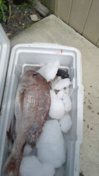 Photo of Ahipara Sandhoppers Early Childhood