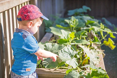 Photo of Buttercups Early Learning Centre