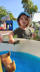 Photo of BestStart Waikite Valley Kindy