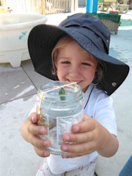 Photo of BestStart Kaiwharawhara