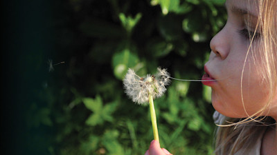 Photo of Piccolo Preschool