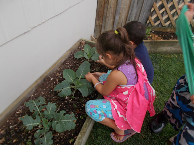 Photo of Glenview Kindy
