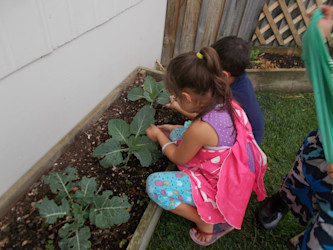 Photo of Glenview Kindy