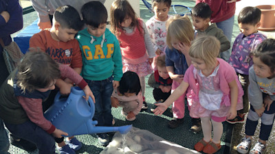Photo of New Lynn Kindergarten