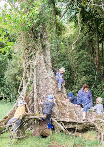 Photo of Whakamarama & Districts Kindergarten