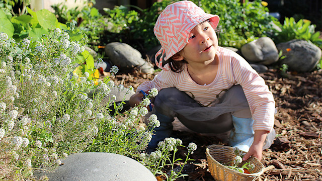 Photo of Little Earth Montessori Kapiti