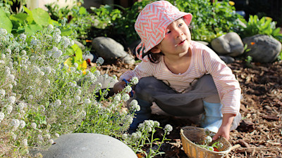 Photo of Little Earth Montessori Kapiti