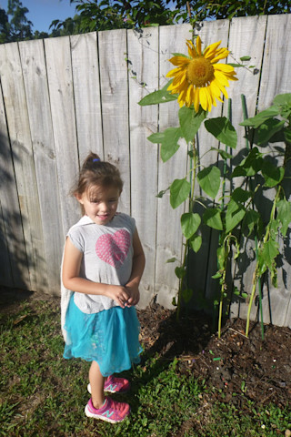 Photo of Central Kids Kindergartens - Homedale