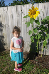 Photo of Central Kids Kindergartens - Homedale