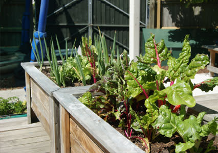 Photo of Kidsfirst Kindergartens Pitcairn Crescent