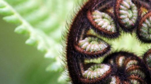 Photo of Te Kohanga Reo o Te Whanau Mana Kakano 