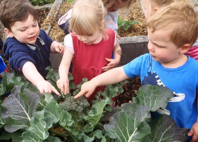 Photo of Bear Park - St Clair