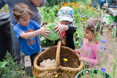 Photo of Otumoetai Free Kindergarten