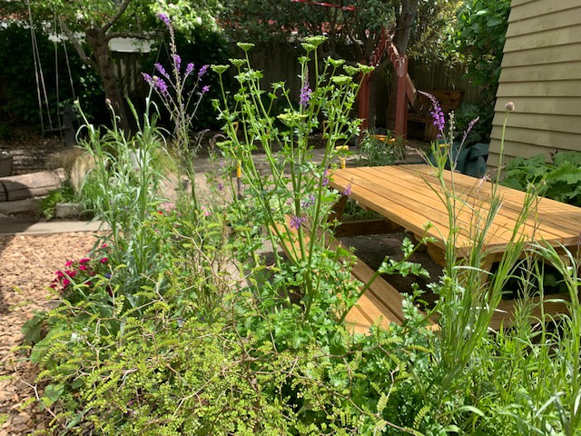 Photo of Steiner Cottage