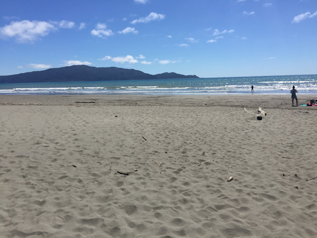 Photo of Waikanae Beach Kids