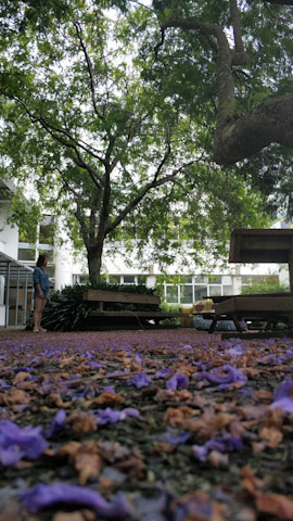 Photo of Faculty of Education Early Childhood Centre