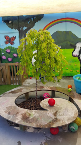 Photo of BestStart Totara Street