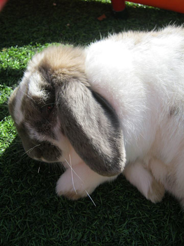 Photo of Flying Start Kindergarten