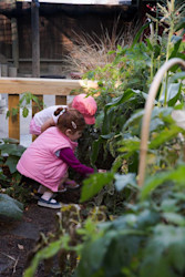 Photo of Prebbleton Nursery & Education Centre