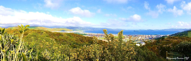 Photo of Maungaraki Playcentre